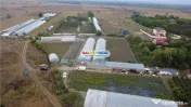 Solare Flori si Legume - Bujori 