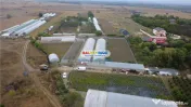 Solare Flori si Legume - Bujori 