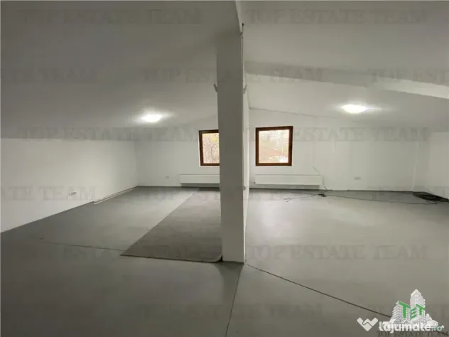 Spatiu comercial, birouri, depozitare de inchiriat in Doamna