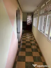 Casuta de langa izvoare,de vanzare in statiunea Covasna! 