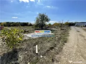 Gulia Tartasesti Str Samurcasi 482 mp deschidere 25 ml 