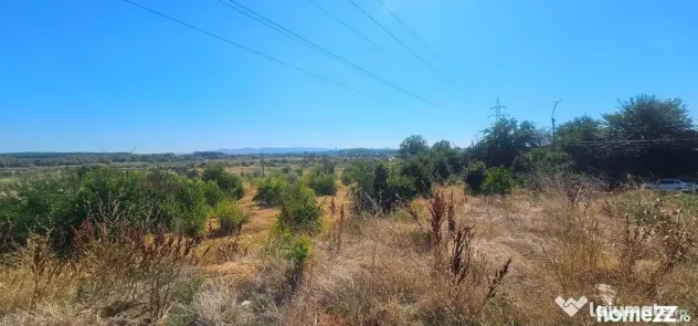 Teren intravilan 14.168 mp – pozitie excelenta la intra...