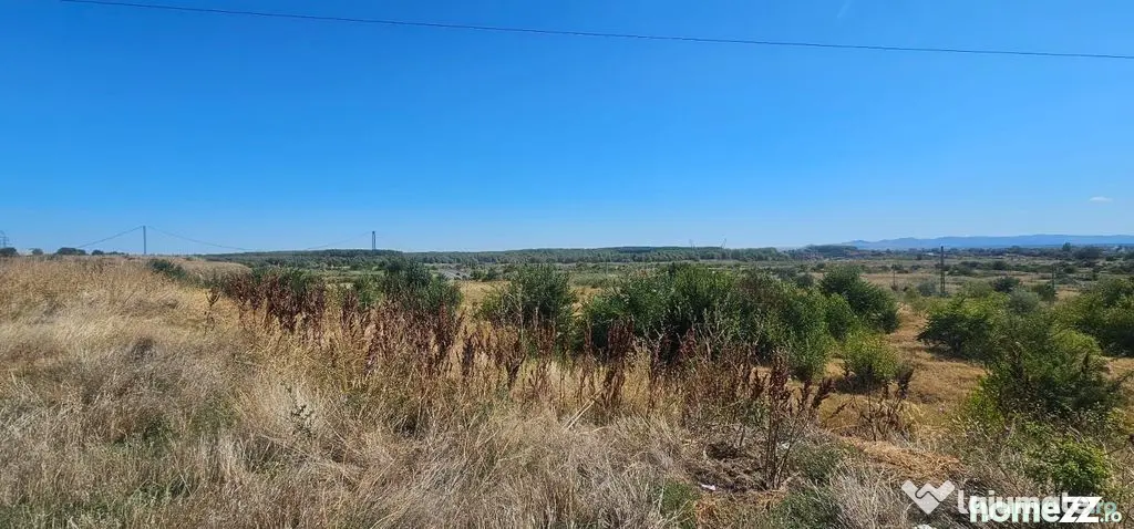 Teren intravilan 14.168 mp – pozitie excelenta la intra...