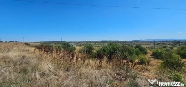 Teren intravilan 14.168 mp – pozitie excelenta la intra...