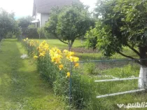 Casa Individuala 200 mp Ghimbav