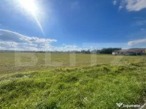 Teren Extravilan în Apropiere de Jelna – 25.800 mp, cu Ut