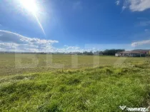 Teren Extravilan în Apropiere de Jelna – 25.800 mp, cu Ut