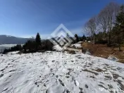 Teren intravilan Colibita 26 arii 