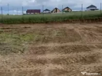 Teren Intravilan 550 mp Bod/Sanpetru