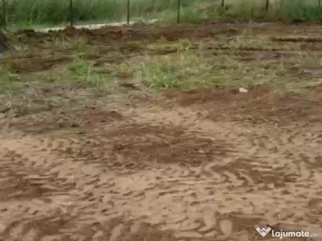 Teren Intravilan 550 mp Bod/Sanpetru