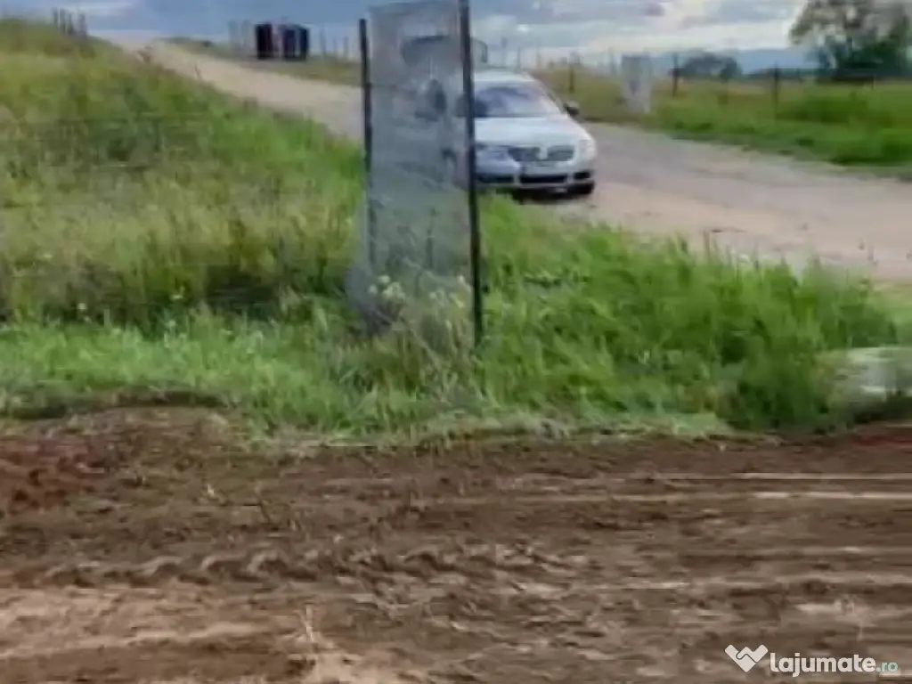 Teren Intravilan 550 mp Bod/Sanpetru