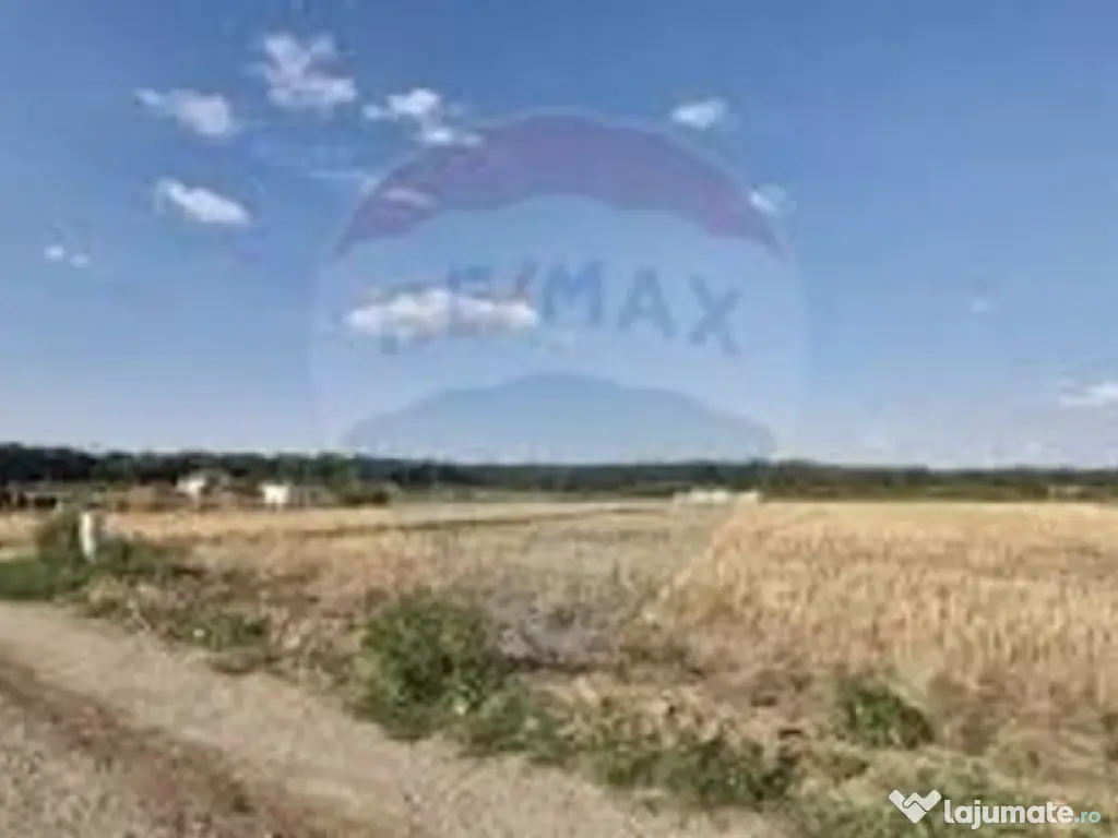 Teren intravilan 3,261mp Balotesti / Strada Rozelor