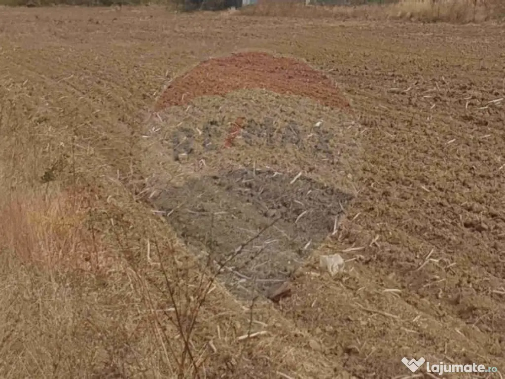 Teren intravilan 3,261mp Balotesti / Strada Rozelor