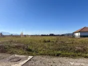 Teren intravilan, PUZ aprobat, 800 mp, cu utilități, Ha... 