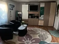 Valea Borcutului, casa 23 ari teren