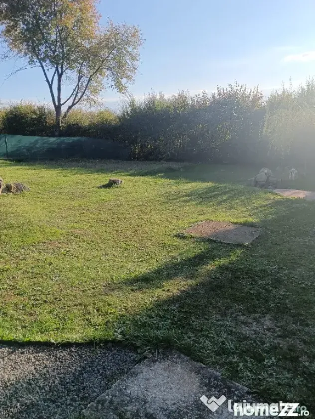 Valea Borcutului, casa 23 ari teren