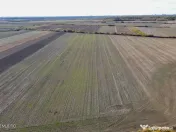 Bucovat - Lot Intravilan 2.27 Ha, PUZ inceput, Rezidentia... 