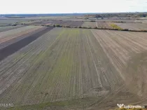 Bucovat - Lot Intravilan 2.27 Ha, PUZ inceput, Rezidentia...