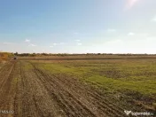 Bucovat - Lot Intravilan 2.27 Ha, PUZ inceput, Rezidentia... 