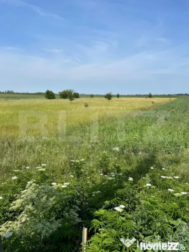 Teren extravilan, 4.994 mp, Targoviste - Nisipurile (Dambovita)