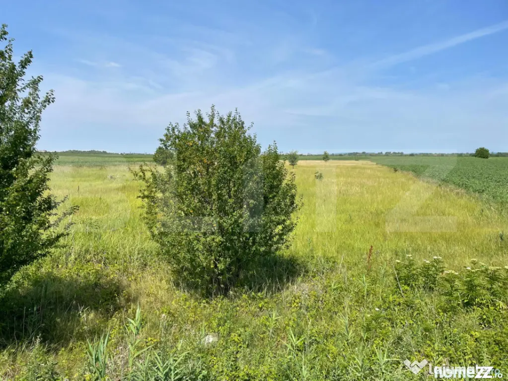 Teren extravilan, 4.994 mp, Targoviste - Nisipurile (Dambovita)