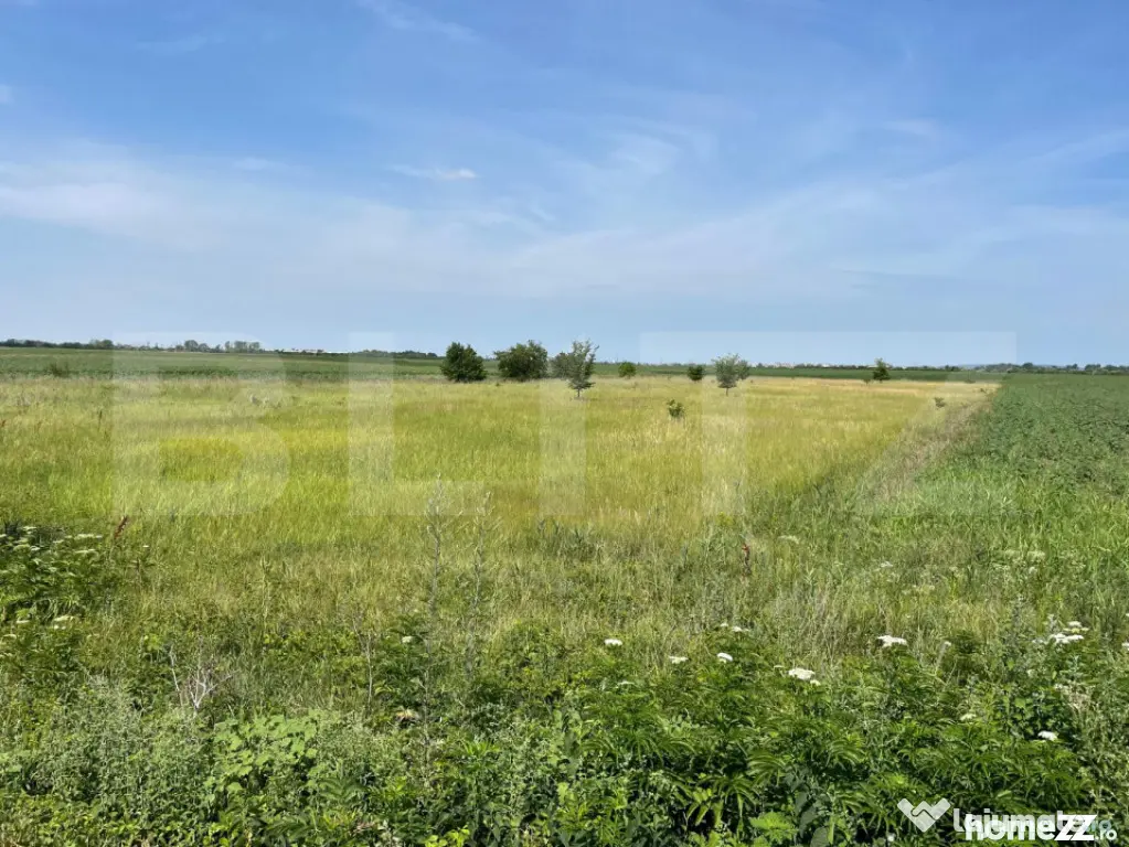 Teren extravilan, 4.994 mp, Targoviste - Nisipurile (Dambovita)