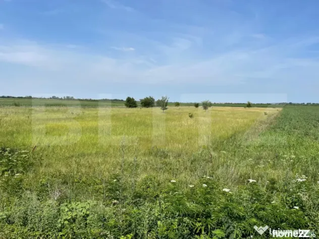 Teren extravilan, 4.994 mp, Targoviste - Nisipurile (Dambovita)
