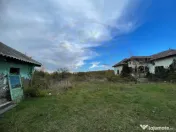 Teren intravilan 6975 mp front stradal 47.70 m in Mosoaia 