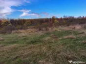 Teren intravilan 6975 mp front stradal 47.70 m in Mosoaia 