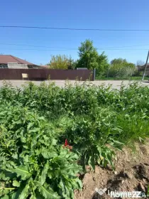Teren intravilan 1.700 mp de vanzare | Tomis Plus | Ideal in