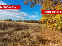 Terenuri intrevilane Comuna Mosoaia