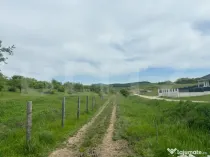 Teren extravilan, zona Sigmir,500mp
