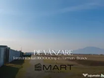 Teren Intravilan 160.000 mp Harman