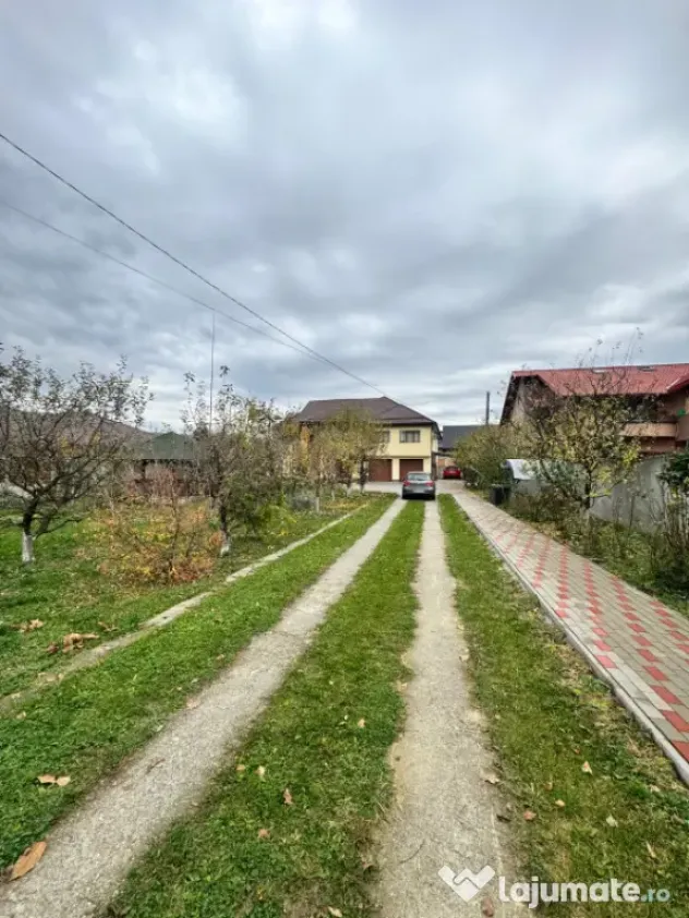 CASĂ DE VIS SAU AFACERE DE SUCCES – BAIA SPRIE