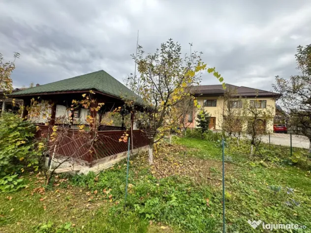 CASĂ DE VIS SAU AFACERE DE SUCCES – BAIA SPRIE
