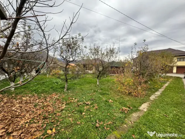CASĂ DE VIS SAU AFACERE DE SUCCES – BAIA SPRIE