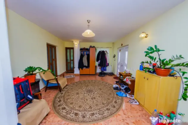 CASĂ DE VIS SAU AFACERE DE SUCCES – BAIA SPRIE