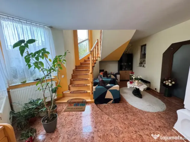 CASĂ DE VIS SAU AFACERE DE SUCCES – BAIA SPRIE