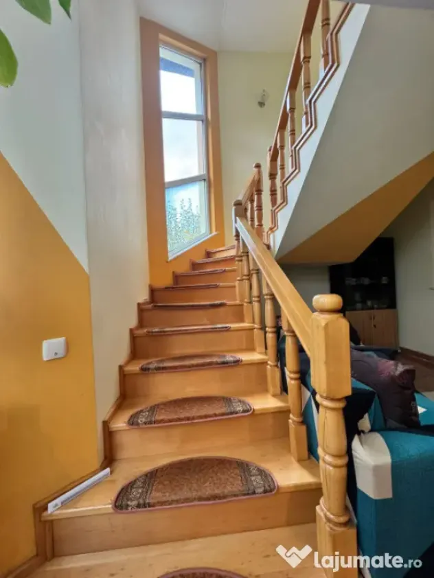 CASĂ DE VIS SAU AFACERE DE SUCCES – BAIA SPRIE