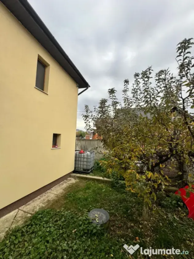 CASĂ DE VIS SAU AFACERE DE SUCCES – BAIA SPRIE