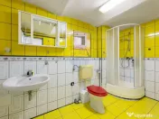 Casă spațioasă de închiriat pe Malul Mureșului 