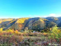 TEREN CU PANORAMA, strada principala, 9959mp, Marisel