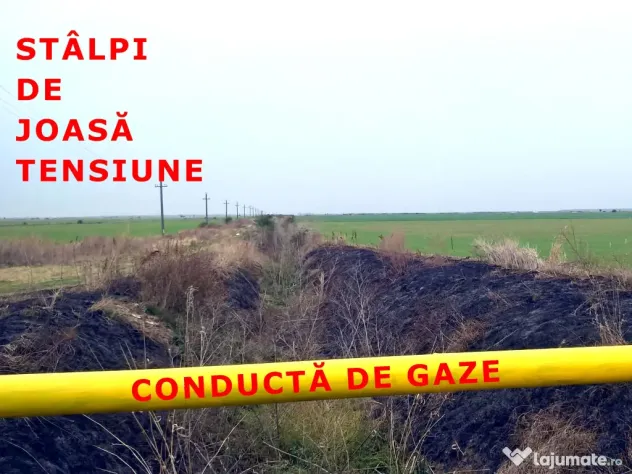 Teren extravilan 83500mp în Mihăilești, Giurgiu