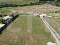 Teren intravilan intr-o zona deosebita langa Domeniul Regilo