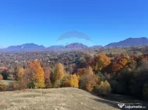Teren 3,500mp Bran / Strada Bradul Inalt
