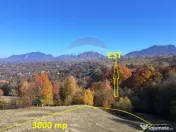 Teren 3,500mp Bran / Strada Bradul Inalt 