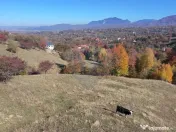 Teren 3,500mp Bran / Strada Bradul Inalt 