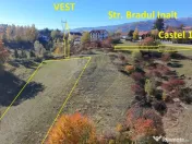 Teren 3,500mp Bran / Strada Bradul Inalt 