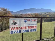 Teren 3,500mp Bran / Strada Bradul Inalt 