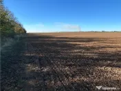 Magnolia Village | Teren 30.000 mp perfect pentru dezvoltare 